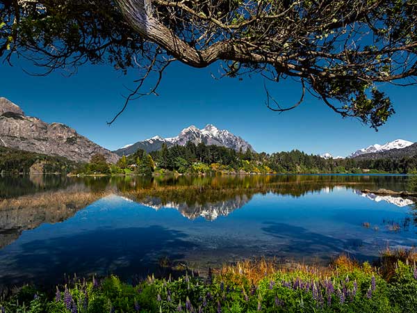 Fotografía de naturaleza