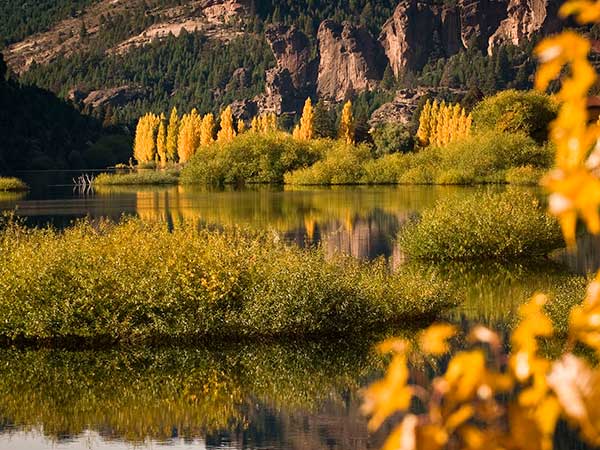 Fotografía de naturaleza